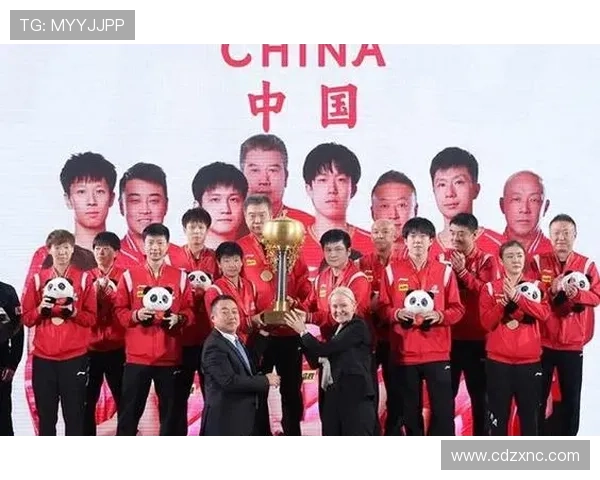 中国篮球队备战世界杯新战略 提升团队协作力与防守质量